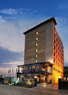 Hotel Golden Palms Delhi