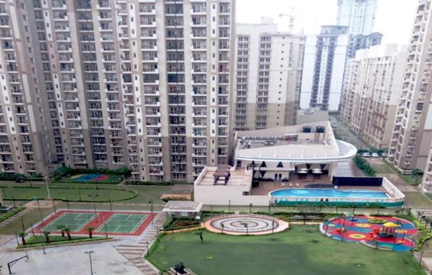 Top View of Golden Palms