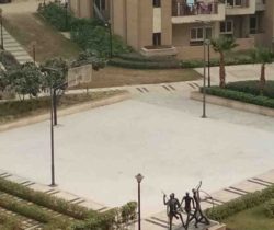 HALF BASKET BALL COURT