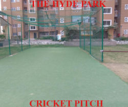 HP - Cricket Pitch