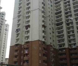 HP-Tower E