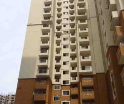 HP-Tower H