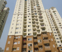 HP- Tower L