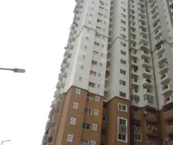 HP-Tower P