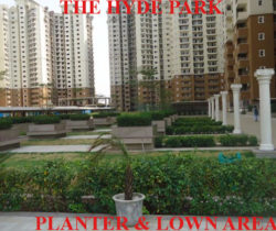 HP- Planters & Lown area