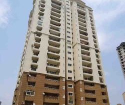 HP-Tower V