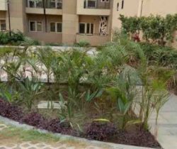 THEME GARDEN