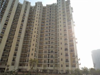 Express Park View