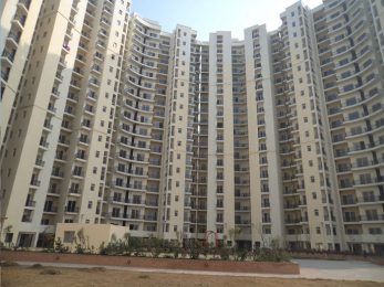 Express Park View