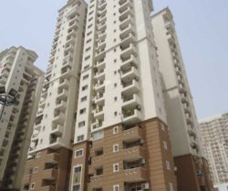 HP- Tower A