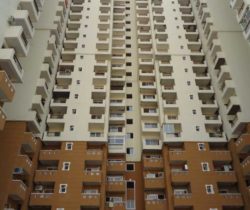 HP-Tower S