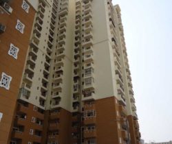 HP-Tower S