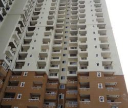 HP-Tower S