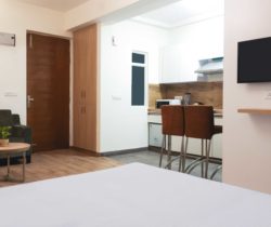 GP-studio apartment ( O Tower)
